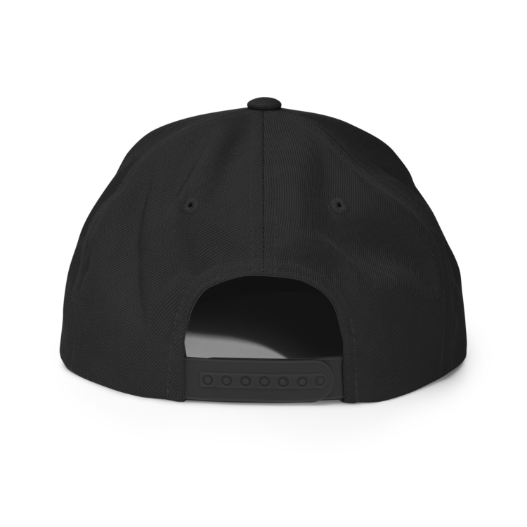 classic-snapback-black-back-6acba2a07b129.webp Producer Life Gold Logo Snapback Hat