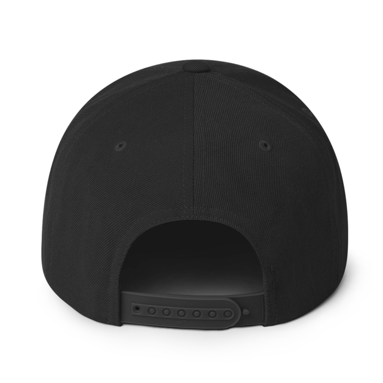 classic-snapback-black-back-6acc182552159.webp Producer Life Gold Logo Snapback Hat