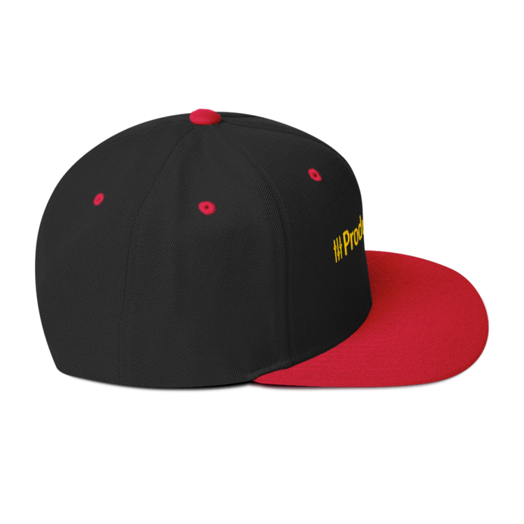 classic-snapback-black-red-right-side-6acc18dcefa56.webp Producer Life Gold Logo Snapback Hat