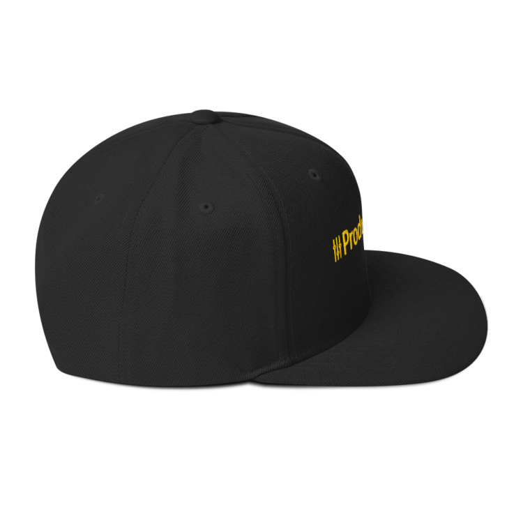 classic-snapback-black-right-side-6acc18dcef52e.webp Producer Life Gold Logo Snapback Hat