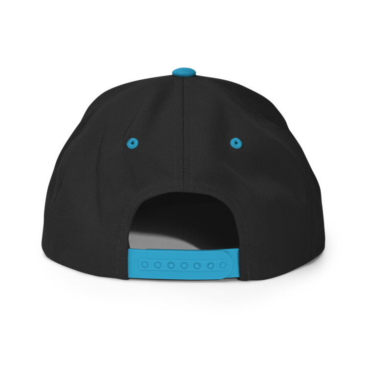 classic-snapback-black-teal-back-6acba2a07b182.webp Producer Life Gold Logo Snapback Hat