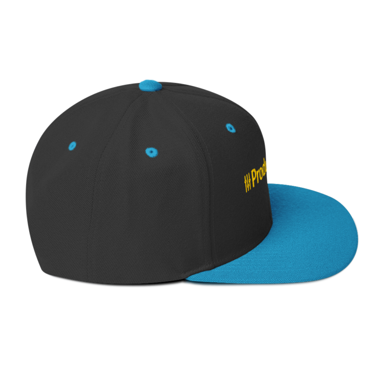 classic-snapback-black-teal-right-side-6acc182552b51.webp Producer Life Gold Logo Snapback Hat