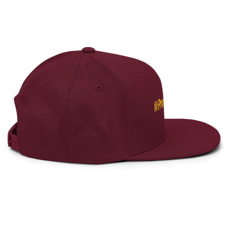 classic-snapback-maroon-right-side-6acba2a07ba75.webp Producer Life Gold Logo Snapback Hat