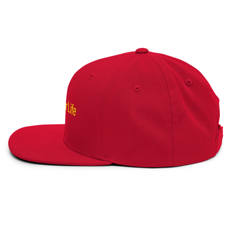 classic-snapback-red-left-side-6acba2a07b605.webp Producer Life Gold Logo Snapback Hat