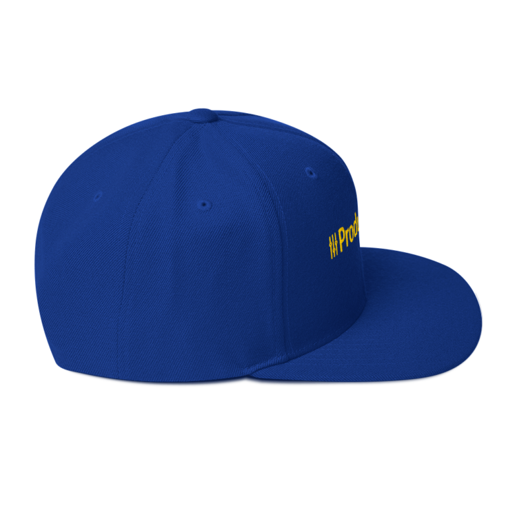 classic-snapback-royal-blue-right-side-6acc182553811.webp Producer Life Gold Logo Snapback Hat
